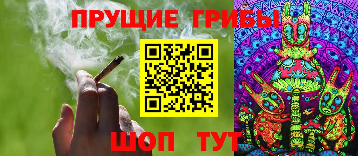 Псилоцибиновые грибы Cubensis Гай