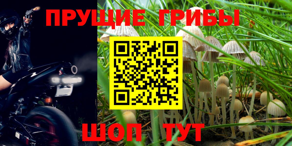 Вейп ТГК Гай