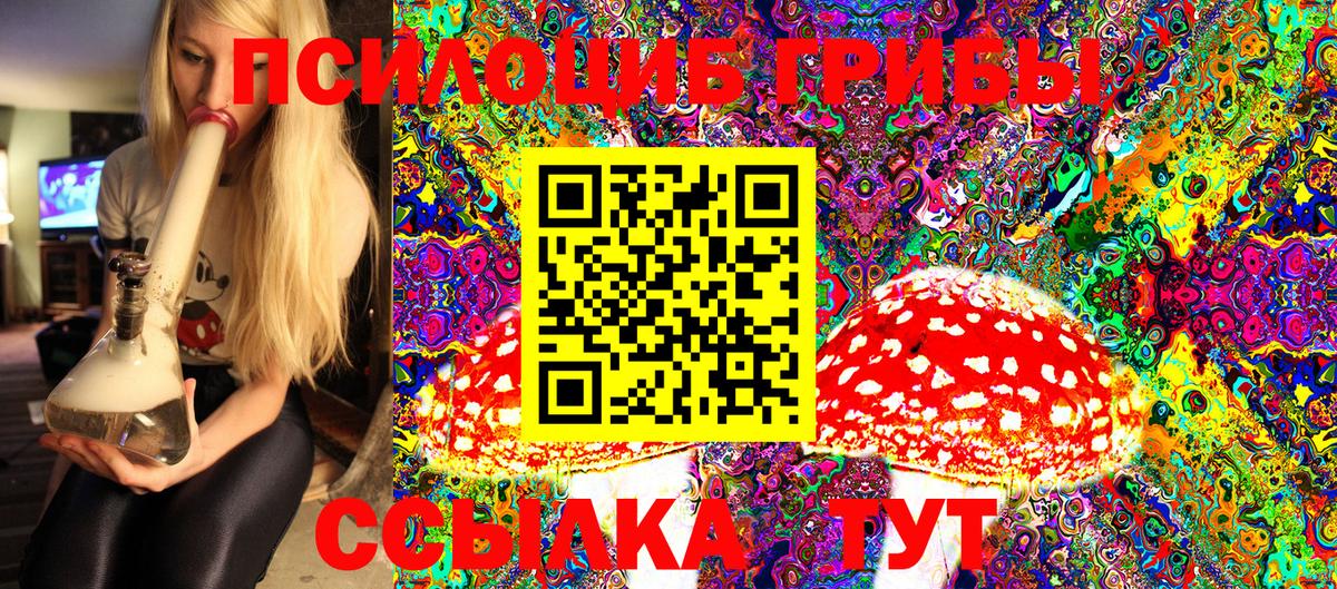 Гай  Галлюциногенные грибы MAGIC MUSHROOMS  Вход с VPN 